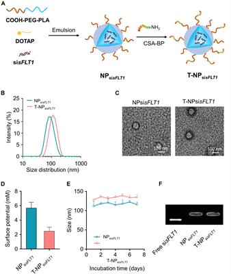 Trophoblast-Targeted Nanomedicine Modulates Placental sFLT1 for Preeclampsia Treatment